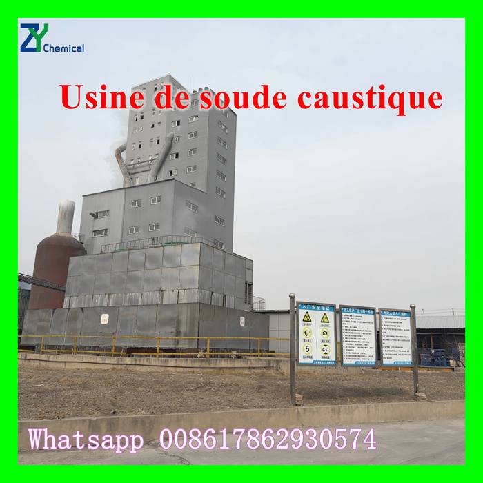 Soude caustique en perle pour savon